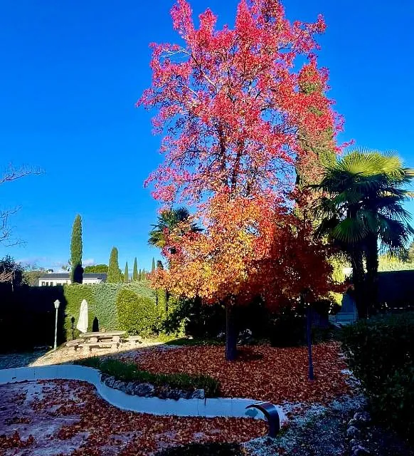 jardín Chalet Vacacional Madrid (Santo Domingo)